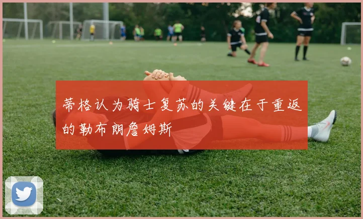 蒂格认为骑士复苏的关键在于重返的勒布朗詹姆斯