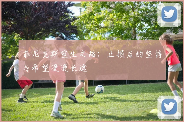 菲尼克斯重生之路：止损后的坚持与希望漫漫长途