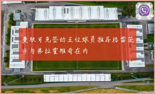 曼联可免签的五位球员推荐格雷茨卡与弗拉霍维奇在内